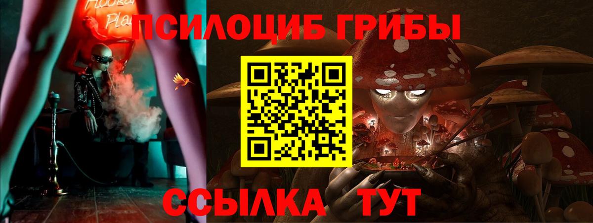 Псилоцибиновые грибы мухоморы  Вход с VPN  Калининград 
